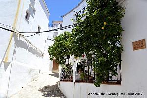359- Genalguacil